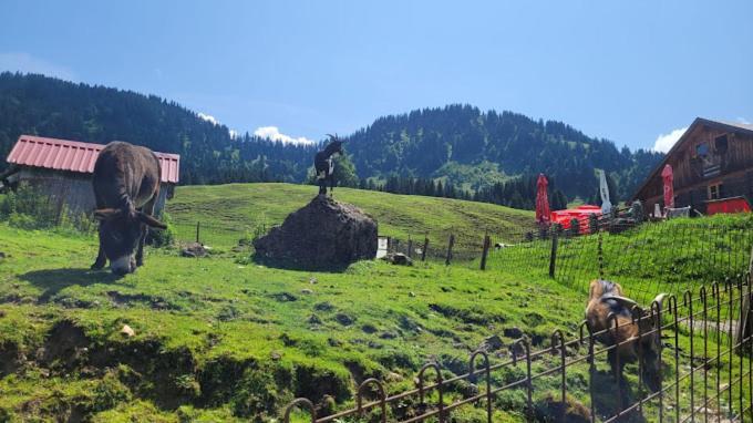 Вилла Jausenstation Neuschwand Хиттизау Экстерьер фото
