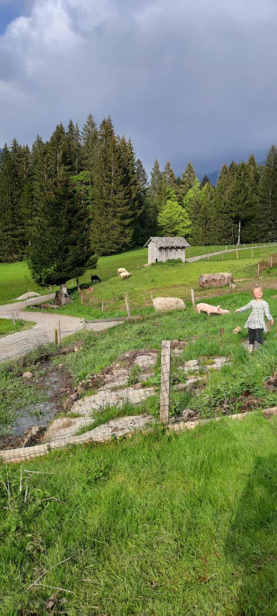 Вилла Jausenstation Neuschwand Хиттизау Экстерьер фото