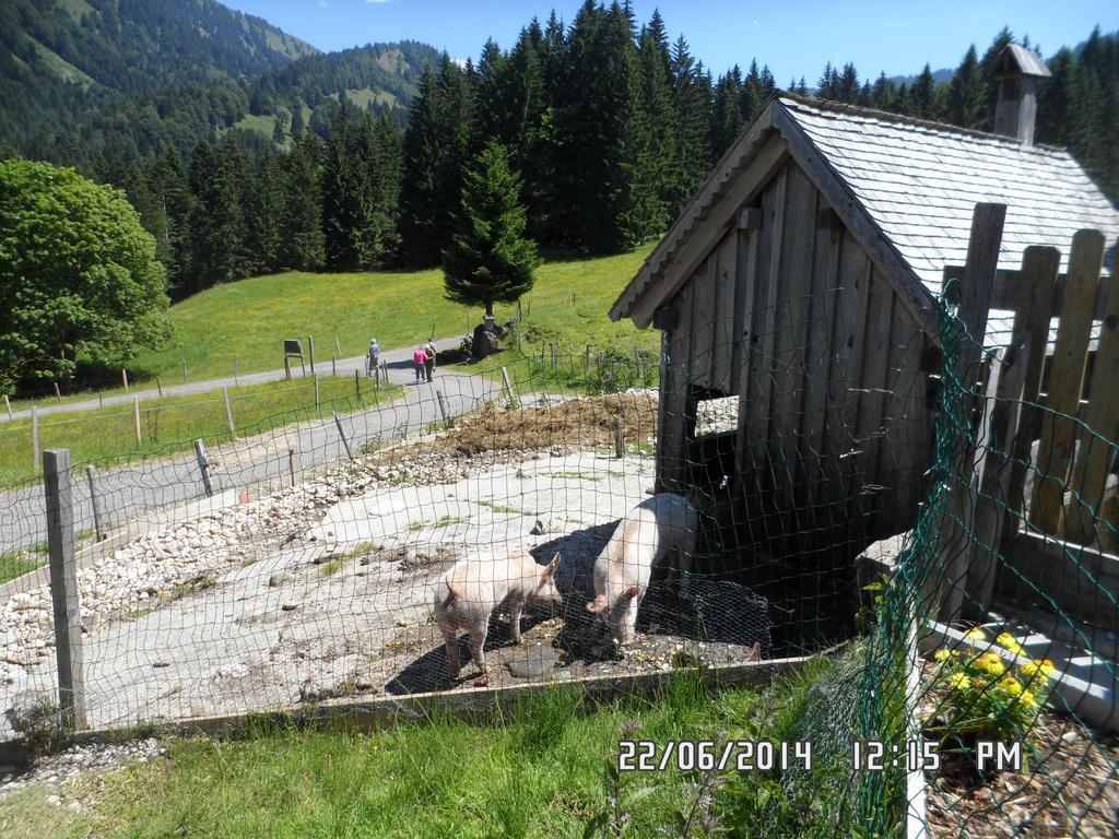 Вилла Jausenstation Neuschwand Хиттизау Экстерьер фото